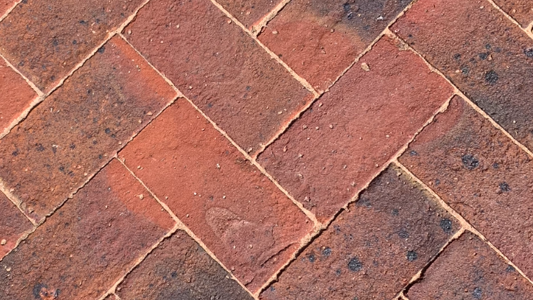 This Window Cleaner Jet-Washed My Entire Estate. The Directors Are 'Wholeheartedly' Recommending Him.