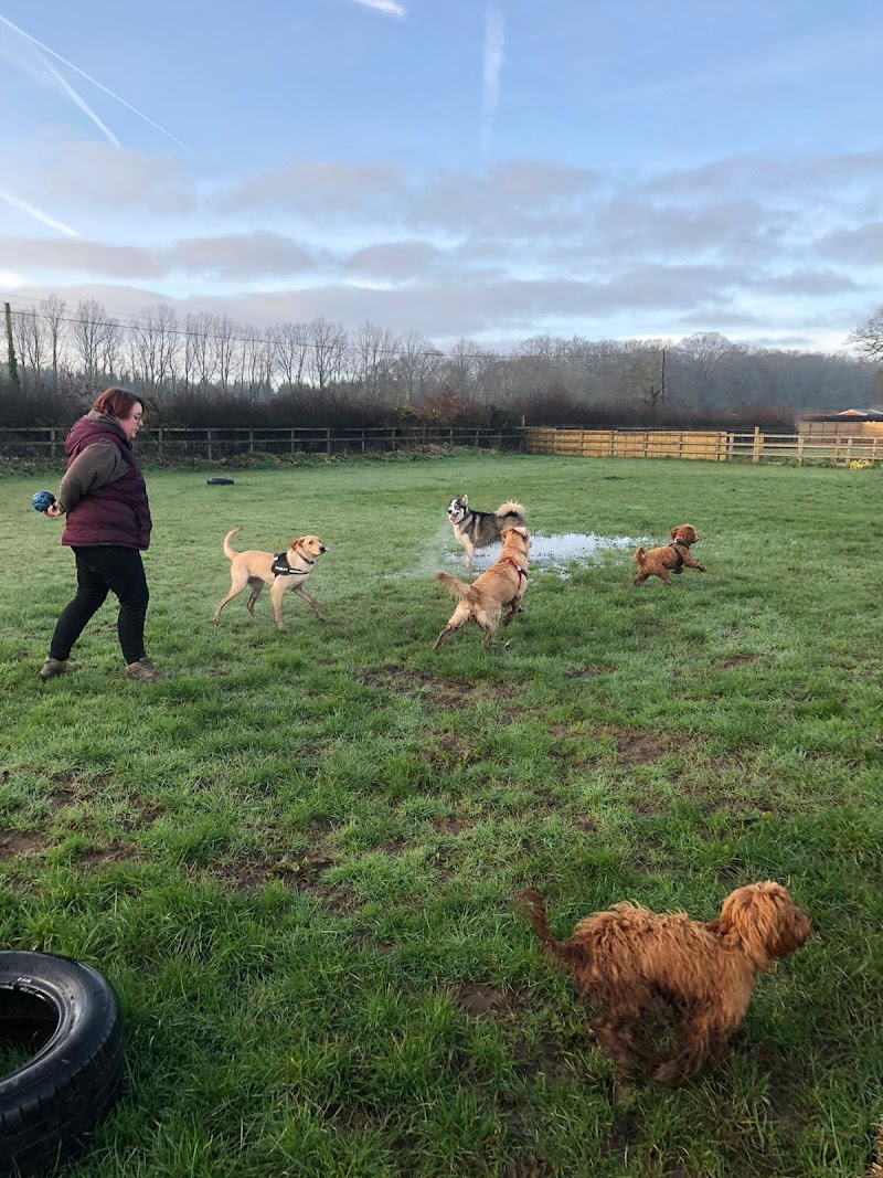 WATERLOOVILLE PET SERVICES - FINAL REPORT